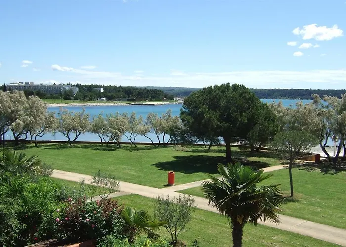 Sandra A4, 80 M From The *